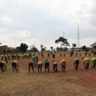 Africa5